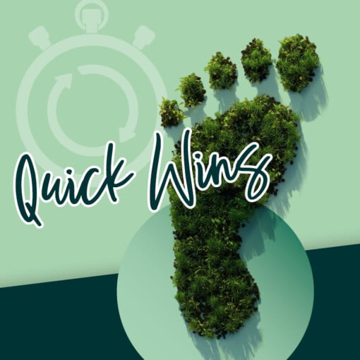 Quick Wins zum Thema Nachhaltigkeit in der Mitmachbank